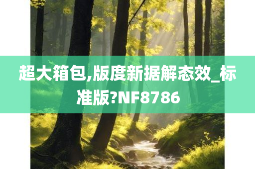 超大箱包,版度新据解态效_标准版?NF8786