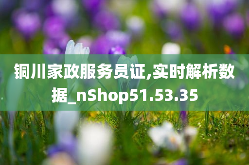 铜川家政服务员证,实时解析数据_nShop51.53.35