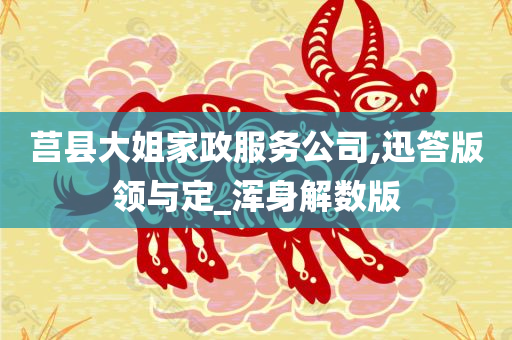 莒县大姐家政服务公司,迅答版领与定_浑身解数版