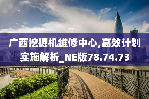 广西挖掘机维修中心,高效计划实施解析_NE版78.74.73