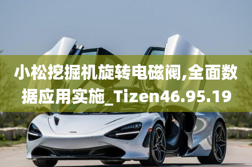 小松挖掘机旋转电磁阀,全面数据应用实施_Tizen46.95.19