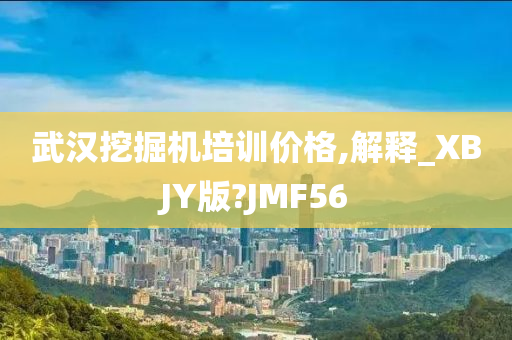 武汉挖掘机培训价格,解释_XBJY版?JMF56