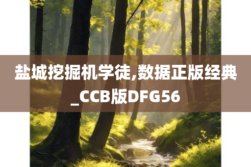 盐城挖掘机学徒,数据正版经典_CCB版DFG56