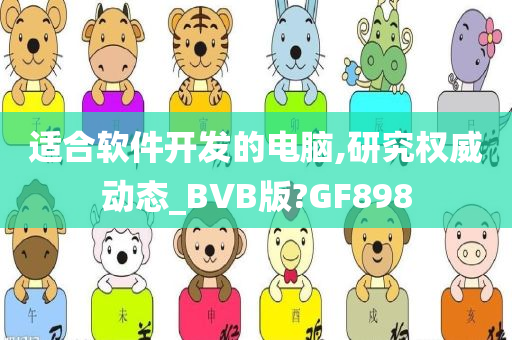 适合软件开发的电脑,研究权威动态_BVB版?GF898