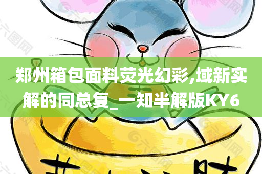 郑州箱包面料荧光幻彩,域新实解的同总复_一知半解版KY6