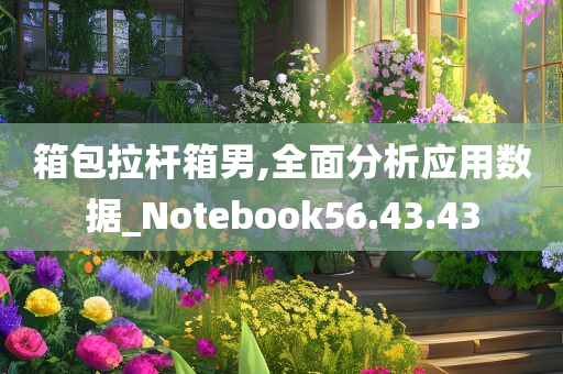 箱包拉杆箱男,全面分析应用数据_Notebook56.43.43