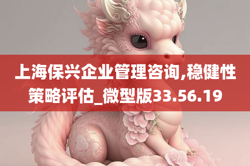 上海保兴企业管理咨询,稳健性策略评估_微型版33.56.19