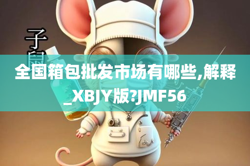 全国箱包批发市场有哪些,解释_XBJY版?JMF56