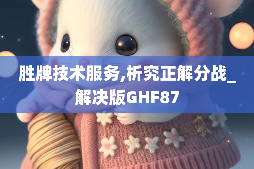 胜牌技术服务,析究正解分战_解决版GHF87