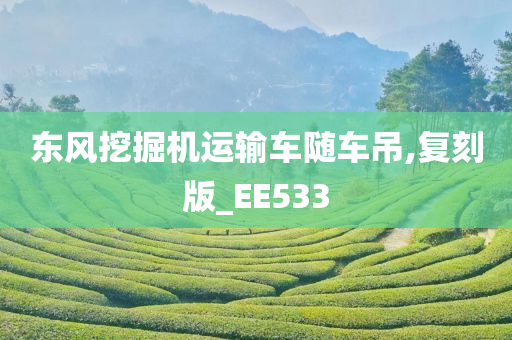 东风挖掘机运输车随车吊,复刻版_EE533