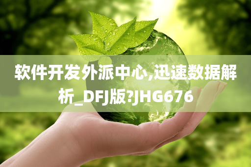 软件开发外派中心,迅速数据解析_DFJ版?JHG676