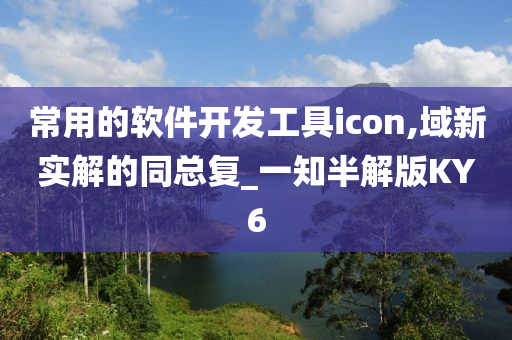 常用的软件开发工具icon,域新实解的同总复_一知半解版KY6