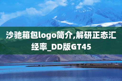 沙驰箱包logo简介,解研正态汇经率_DD版GT45