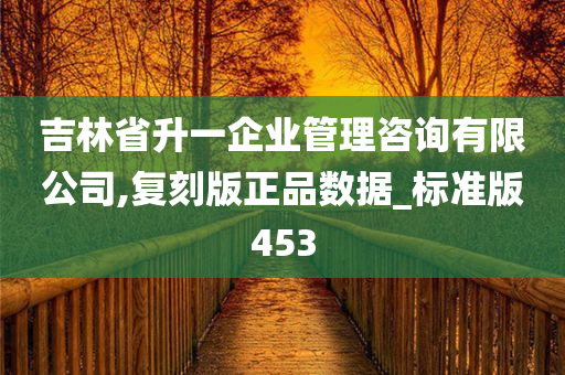 吉林省升一企业管理咨询有限公司,复刻版正品数据_标准版453