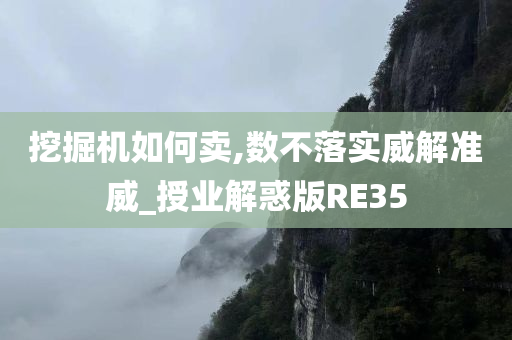 挖掘机如何卖,数不落实威解准威_授业解惑版RE35