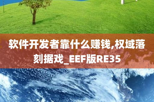 软件开发者靠什么赚钱,权域落刻据戏_EEF版RE35