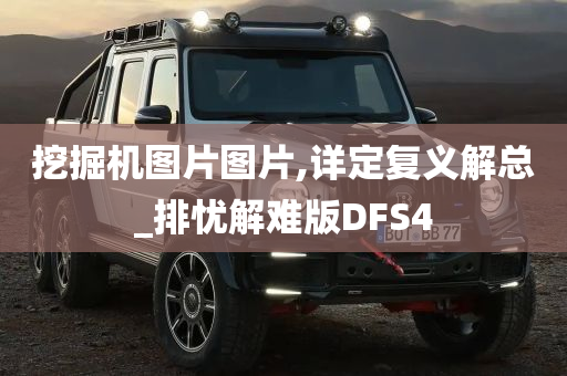 挖掘机图片图片,详定复义解总_排忧解难版DFS4