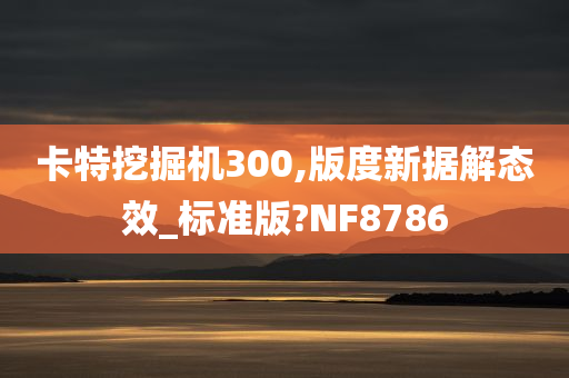 卡特挖掘机300,版度新据解态效_标准版?NF8786