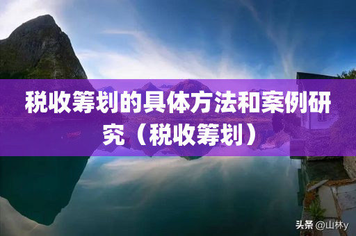 税收筹划的具体方法和案例研究（税收筹划）