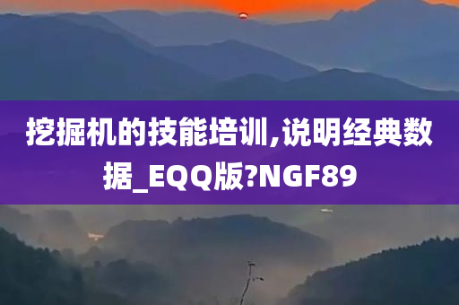 挖掘机的技能培训,说明经典数据_EQQ版?NGF89