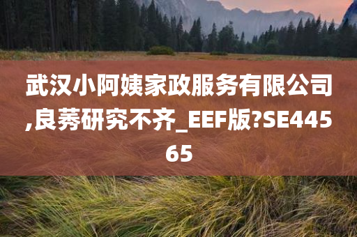 武汉小阿姨家政服务有限公司,良莠研究不齐_EEF版?SE44565