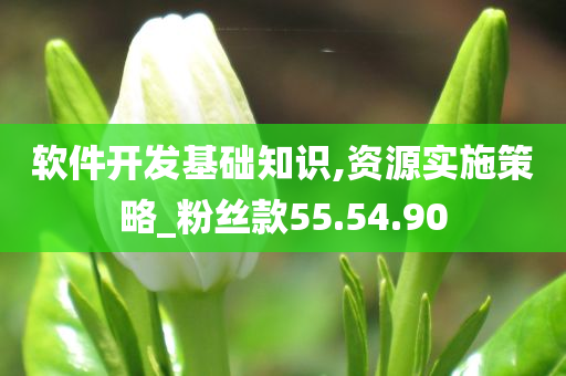 软件开发基础知识,资源实施策略_粉丝款55.54.90