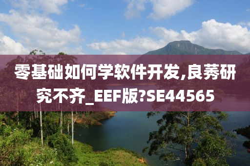 零基础如何学软件开发,良莠研究不齐_EEF版?SE44565