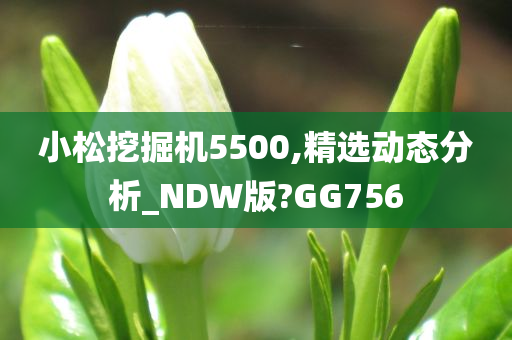 小松挖掘机5500,精选动态分析_NDW版?GG756