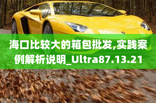 海口比较大的箱包批发,实践案例解析说明_Ultra87.13.21