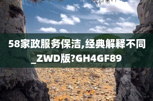 58家政服务保洁,经典解释不同_ZWD版?GH4GF89