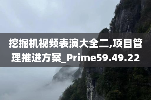 挖掘机视频表演大全二,项目管理推进方案_Prime59.49.22