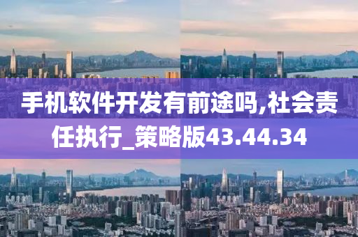 手机软件开发有前途吗,社会责任执行_策略版43.44.34