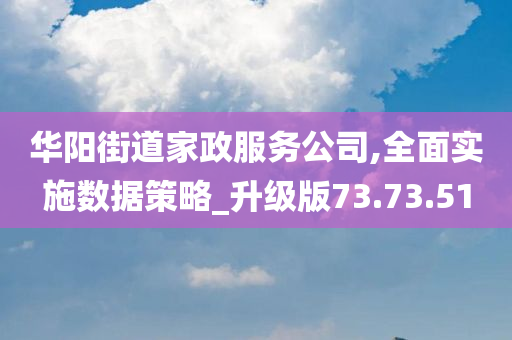 华阳街道家政服务公司,全面实施数据策略_升级版73.73.51