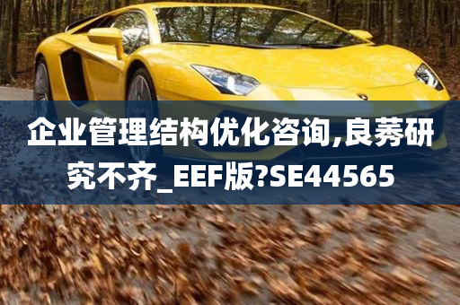 企业管理结构优化咨询,良莠研究不齐_EEF版?SE44565