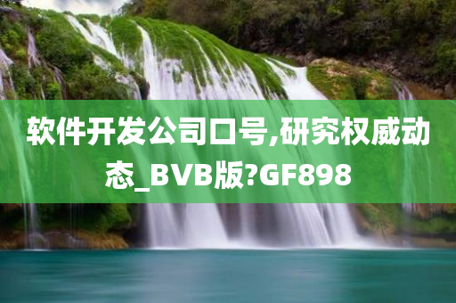 软件开发公司口号,研究权威动态_BVB版?GF898