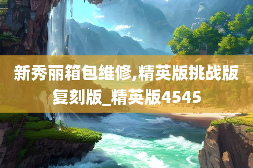 新秀丽箱包维修,精英版挑战版复刻版_精英版4545