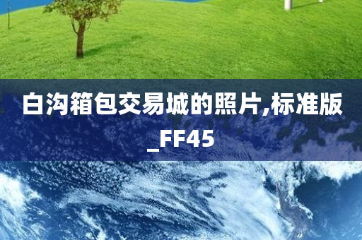 白沟箱包交易城的照片,标准版_FF45