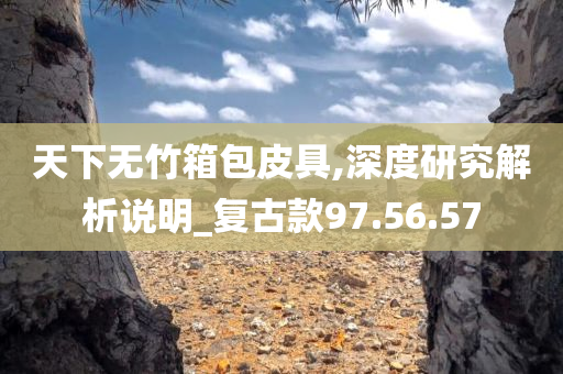 天下无竹箱包皮具,深度研究解析说明_复古款97.56.57