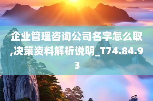 企业管理咨询公司名字怎么取,决策资料解析说明_T74.84.93