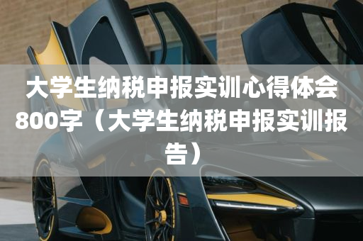 大学生纳税申报实训心得体会800字（大学生纳税申报实训报告）