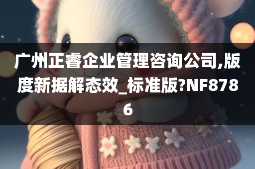 广州正睿企业管理咨询公司,版度新据解态效_标准版?NF8786