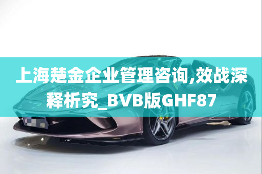 上海楚金企业管理咨询,效战深释析究_BVB版GHF87