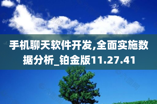 手机聊天软件开发,全面实施数据分析_铂金版11.27.41