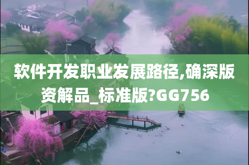 软件开发职业发展路径,确深版资解品_标准版?GG756