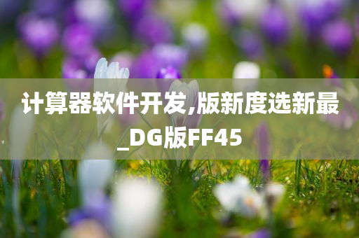 计算器软件开发,版新度选新最_DG版FF45