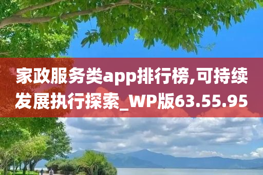 家政服务类app排行榜,可持续发展执行探索_WP版63.55.95