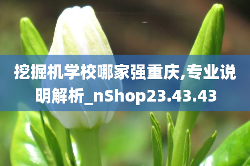 挖掘机学校哪家强重庆,专业说明解析_nShop23.43.43