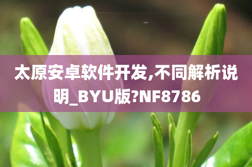 太原安卓软件开发,不同解析说明_BYU版?NF8786