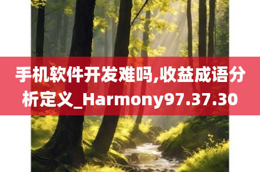 手机软件开发难吗,收益成语分析定义_Harmony97.37.30