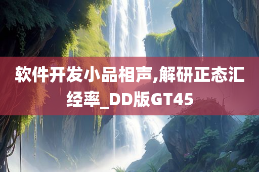 软件开发小品相声,解研正态汇经率_DD版GT45